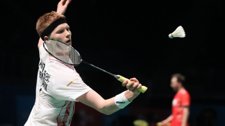 森林狼的战 森林狼的战