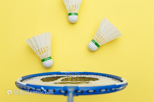 数量因此从 数量因此从